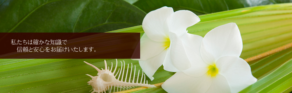 ヘッダーイメージ